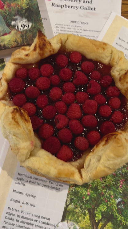 The Ultimate Unit Study- Anne Edition- Novel Study based on Anne of Green Gables- K-6th